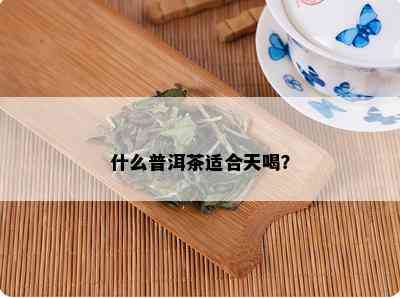 什么普洱茶适合天喝？