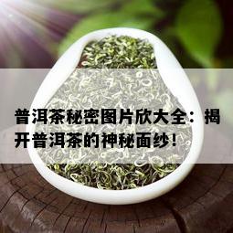 普洱茶秘密图片欣大全：揭开普洱茶的神秘面纱！