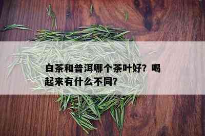 白茶和普洱哪个茶叶好？喝起来有什么不同？