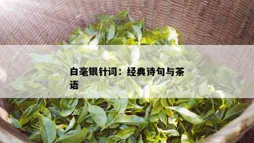 白毫银针词：经典诗句与茶语