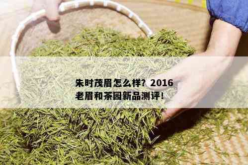 朱时茂眉怎么样？2016老眉和茶园新品测评！