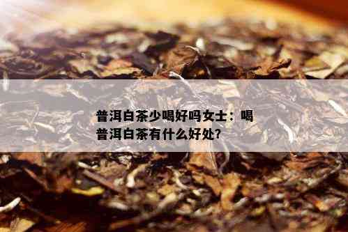 普洱白茶少喝好吗女士：喝普洱白茶有什么好处？