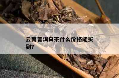 云南普洱白茶什么价格能买到？