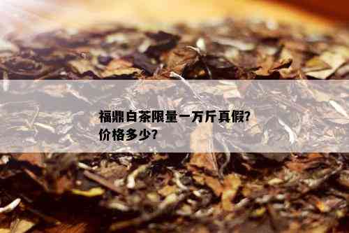 福鼎白茶 *** 一万斤真假？价格多少？