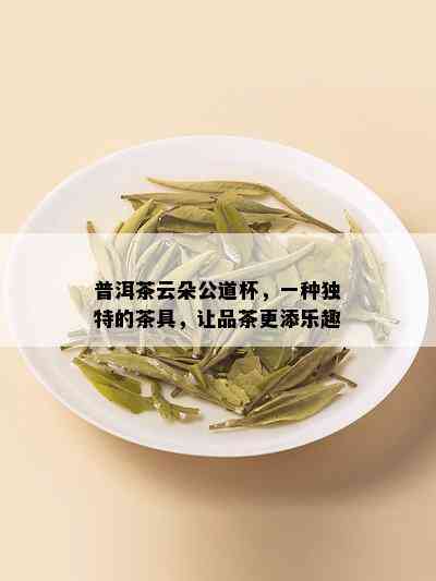 普洱茶云朵公道杯，一种独特的茶具，让品茶更添乐趣