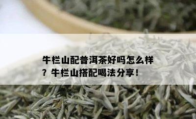 牛栏山配普洱茶好吗怎么样？牛栏山搭配喝法分享！