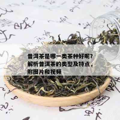 普洱茶是哪一类茶种好呢？解析普洱茶的类型及特点，附图片和视频