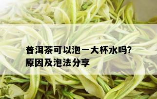 普洱茶可以泡一大杯水吗？原因及泡法分享