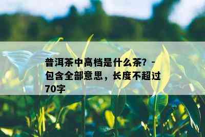 普洱茶中高档是什么茶？-包含全部意思，长度不超过70字