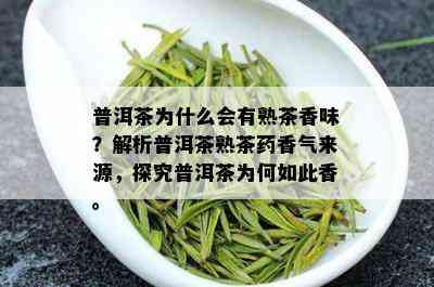 普洱茶为什么会有熟茶香味？解析普洱茶熟茶香气来源，探究普洱茶为何如此香。