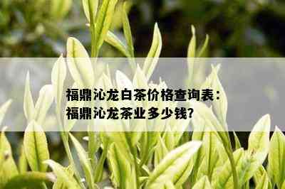 福鼎沁龙白茶价格查询表：福鼎沁龙茶业多少钱？