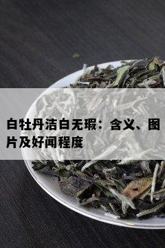 白牡丹洁白无瑕：含义、图片及好闻程度