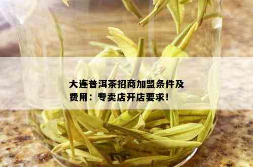 大连普洱茶招商加盟条件及费用：专卖店开店要求！