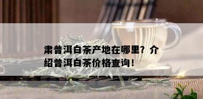 肃普洱白茶产地在哪里？介绍普洱白茶价格查询！