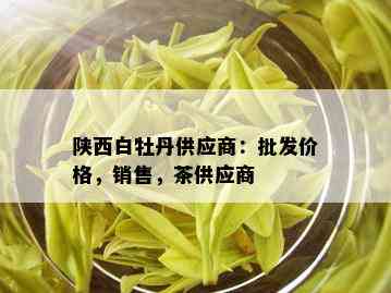 陕西白牡丹供应商：批发价格，销售，茶供应商