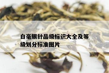 白毫银针品级标识大全及等级划分标准图片