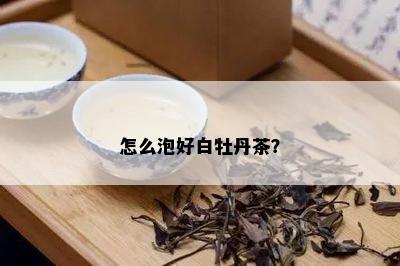 怎么泡好白牡丹茶？