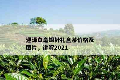 迎泽白毫银针礼盒茶价格及图片，讲解2021