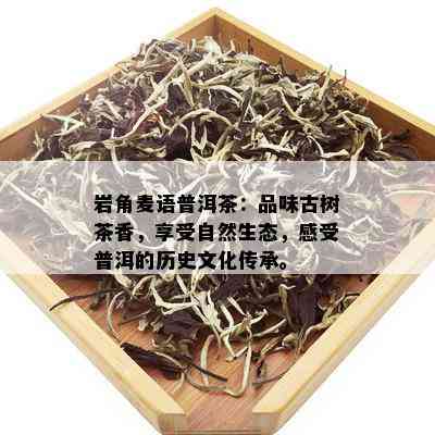 岩角麦语普洱茶：品味古树茶香，享受自然生态，感受普洱的历史文化传承。