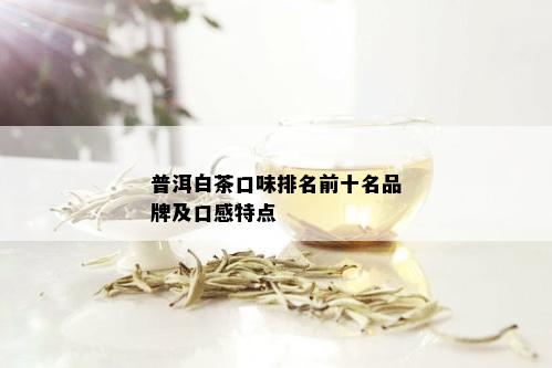 普洱白茶口味排名前十名品牌及口感特点