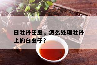 白牡丹生虫，怎么处理牡丹上的白虫子？