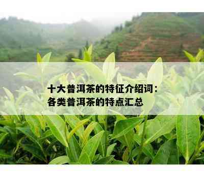 十大普洱茶的特征介绍词：各类普洱茶的特点汇总