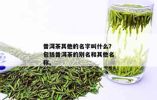 普洱茶其他的名字叫什么？包括普洱茶的别名和其他名称。