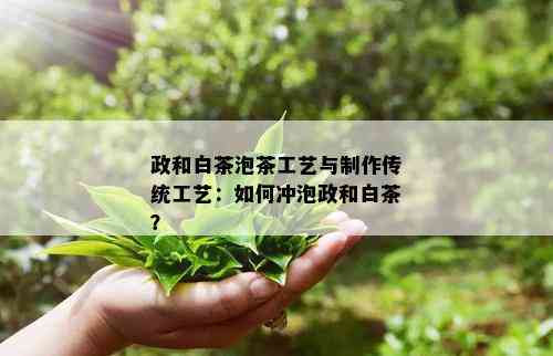 政和白茶泡茶工艺与制作传统工艺：如何冲泡政和白茶？