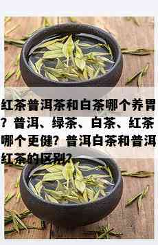 红茶普洱茶和白茶哪个养胃？普洱、绿茶、白茶、红茶哪个更健？普洱白茶和普洱红茶的区别？