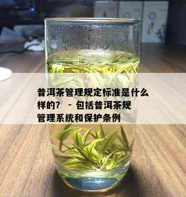 普洱茶管理规定标准是什么样的？ - 包括普洱茶规管理系统和保护条例