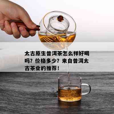 太古原生普洱茶怎么样好喝吗？价格多少？来自普洱太古茶业的推荐！