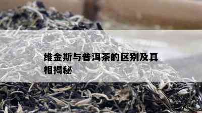 维金斯与普洱茶的区别及真相揭秘