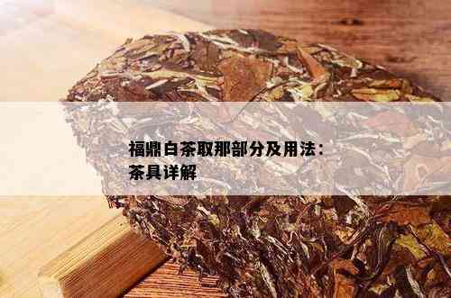 福鼎白茶取那部分及用法：茶具详解