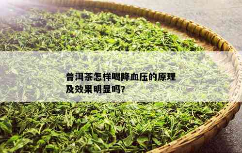 普洱茶怎样喝降血压的原理及效果明显吗？