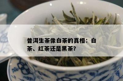 普洱生茶像白茶的真相：白茶、红茶还是黑茶？