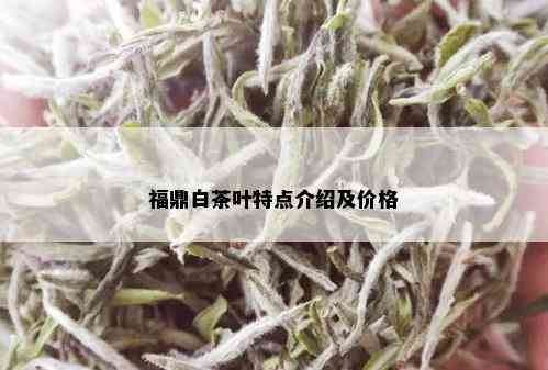 福鼎白茶叶特点介绍及价格