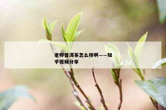 老师普洱茶怎么样啊——知乎视频分享