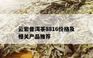 云宏普洱茶8816价格及相关产品推荐