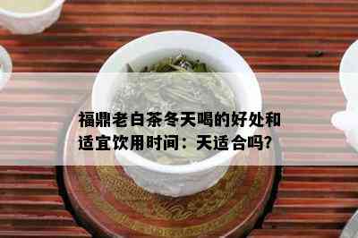 福鼎老白茶冬天喝的好处和适宜饮用时间：天适合吗？