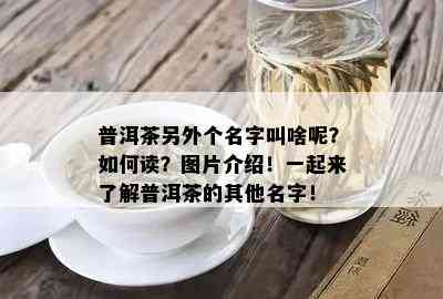 普洱茶另外个名字叫啥呢？如何读？图片介绍！一起来了解普洱茶的其他名字！