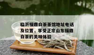 临沂福鼎白茶茶馆地址电话及位置，享受正宗山东福鼎白茶的美味体验