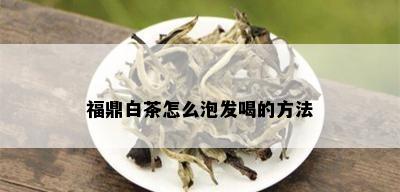 福鼎白茶怎么泡发喝的方法