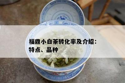 福鼎小白茶转化率及介绍：特点、品种