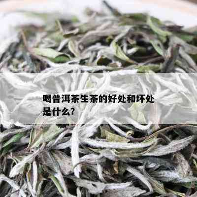 喝普洱茶生茶的好处和坏处是什么？