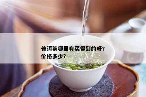 普洱茶哪里有买得到的呀？价格多少？