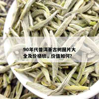 90年代普洱茶古树图片大全及价格欣，价值如何？