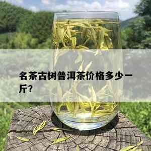 名茶古树普洱茶价格多少一斤？