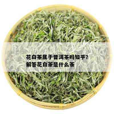 花白茶属于普洱茶吗知乎？解答花白茶是什么茶