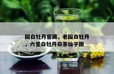 园白牡丹窖藏，老园白牡丹，六星白牡丹白茶仙子图