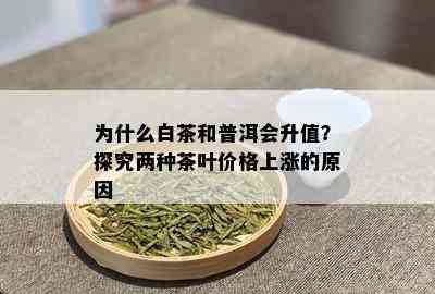 为什么白茶和普洱会升值？探究两种茶叶价格上涨的原因